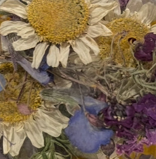 Handpicked Dried & Pressed Mixed Wild Flowers Organic - 10 Stems 6”
