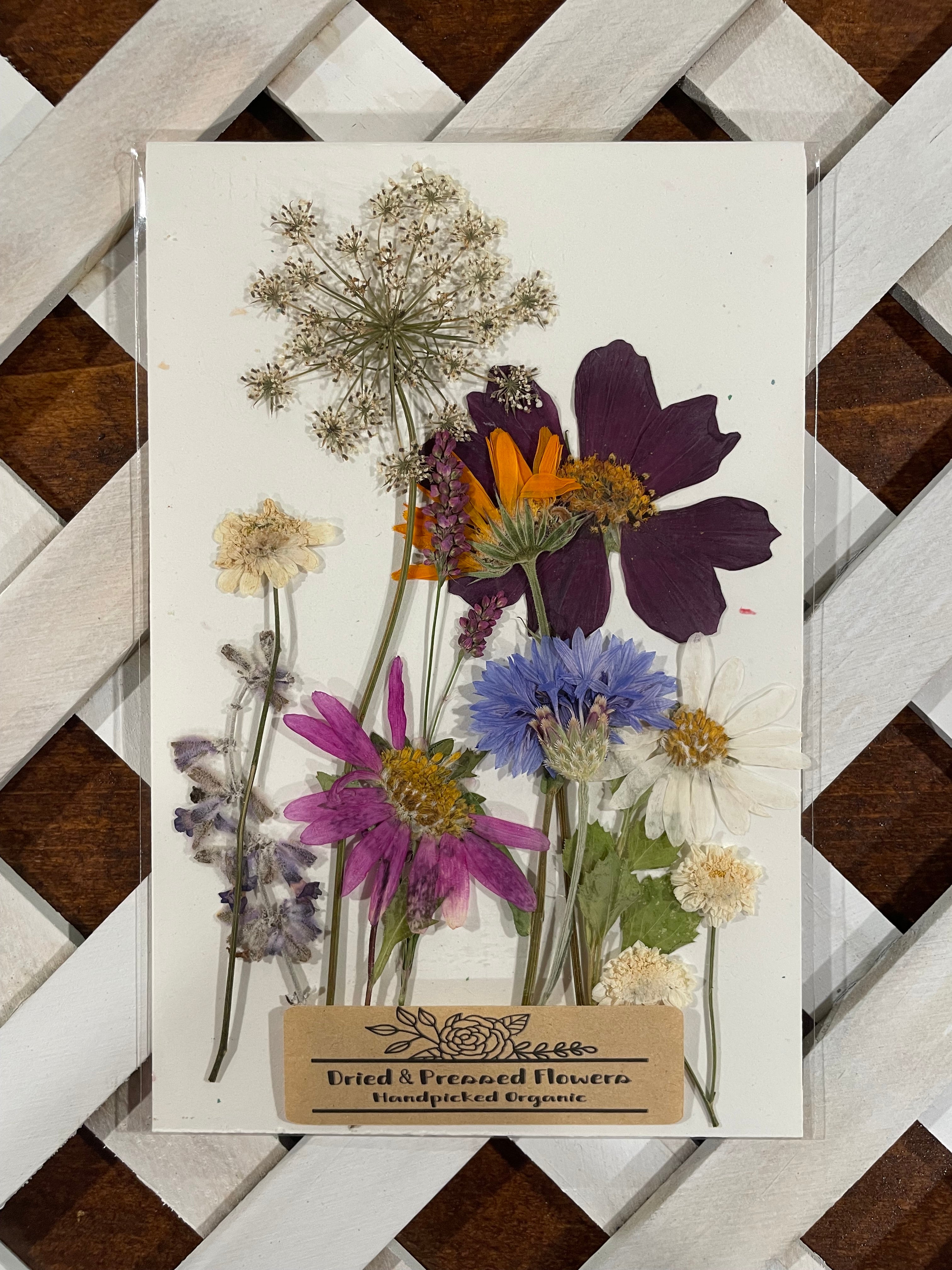 Handpicked Dried & Pressed Mixed Wild Flowers Organic - 10 Stems 6”