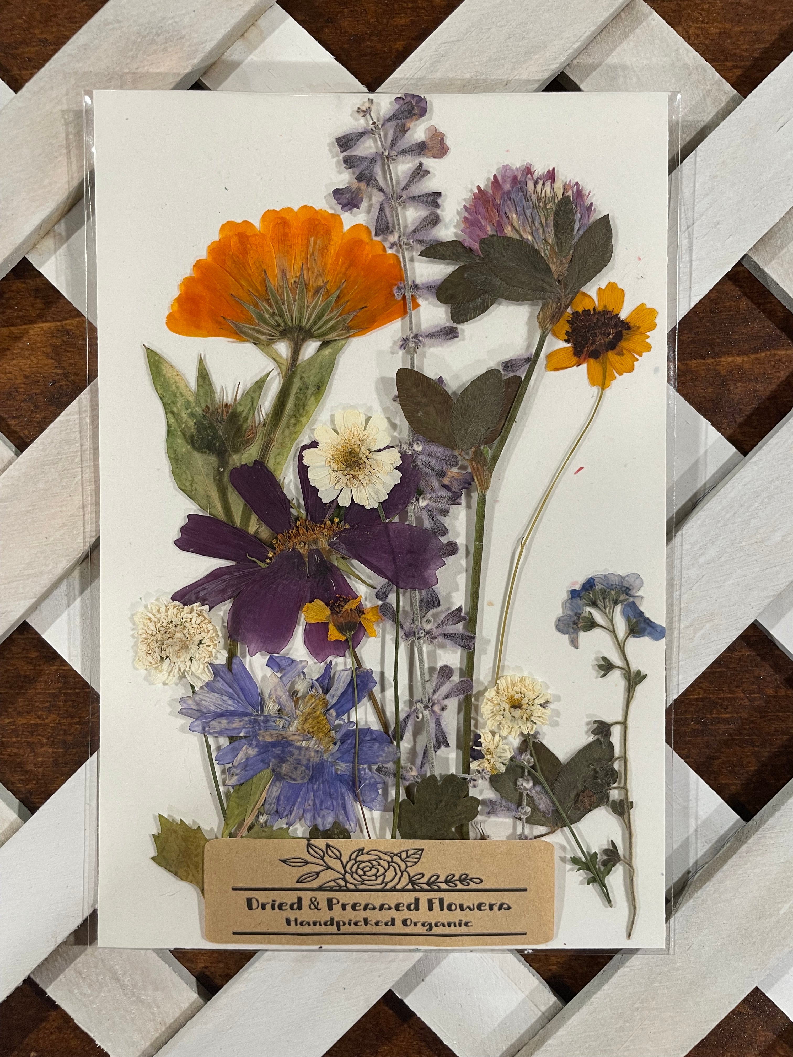 Dried & Pressed Mixed Wild Flowers Organic - 10 Stems 6”