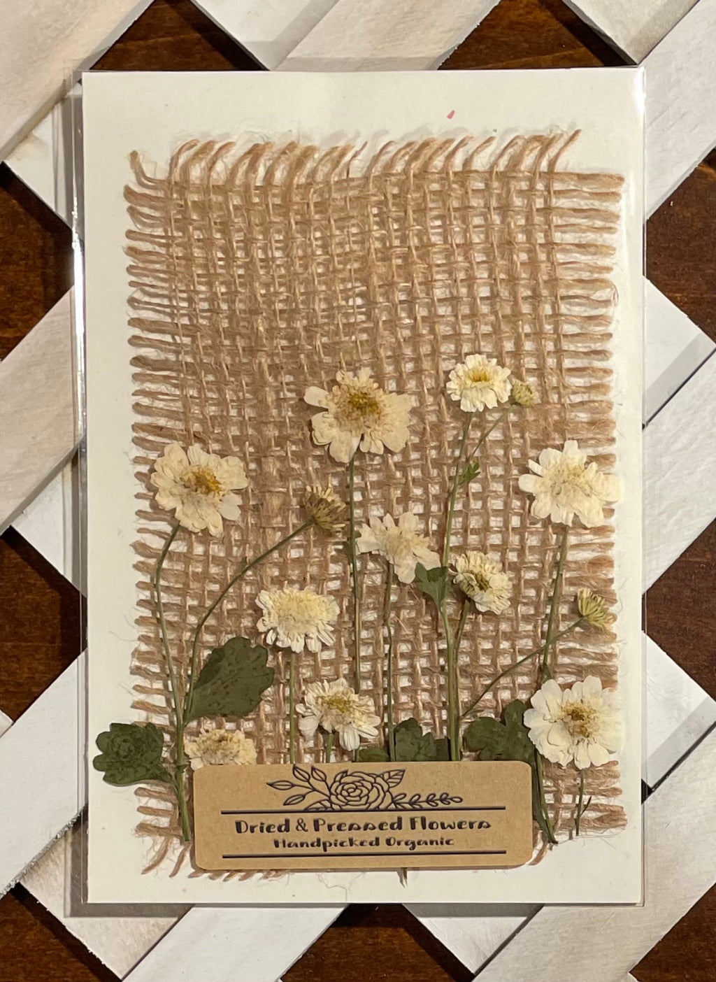 Handpicked Dried & Pressed Feverfew Flowers Organic 10 Stems